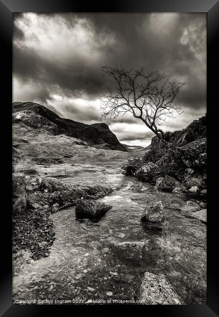 Lone tree and mountain background mono Framed Print by Clive Ingram