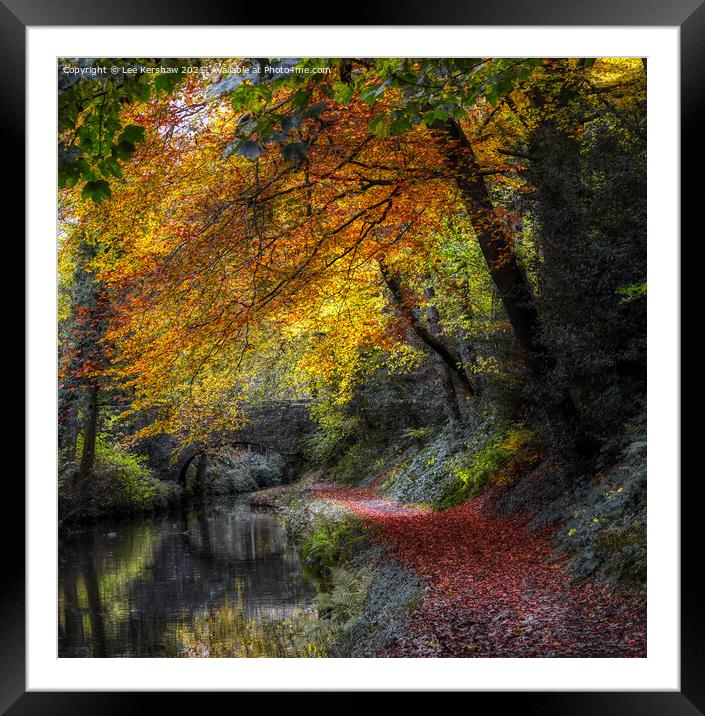 Leaves to the Bridge Framed Mounted Print by Lee Kershaw
