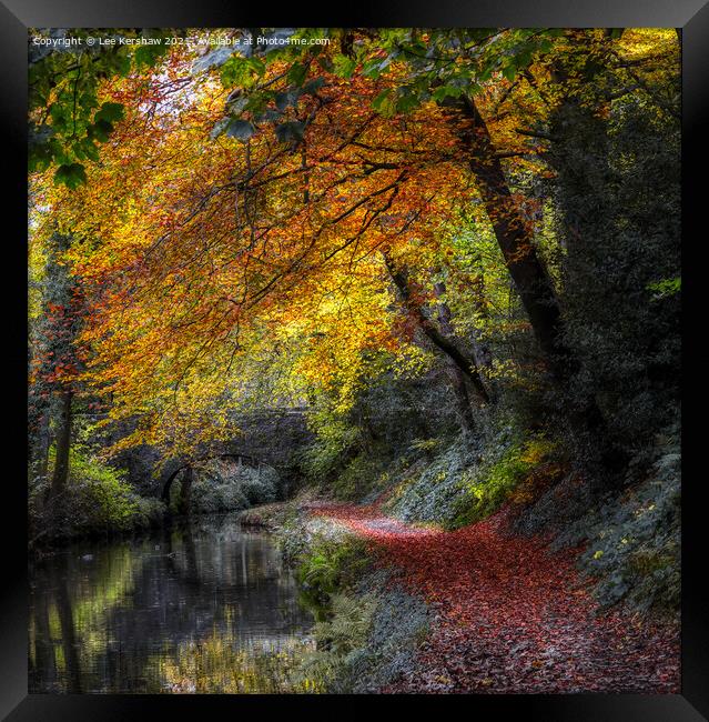 Leaves to the Bridge Framed Print by Lee Kershaw