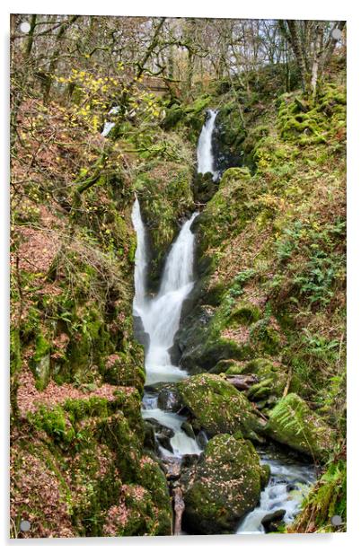 Stock Ghyll Force Ambleside Acrylic by Roger Green