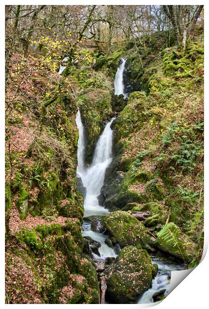 Stock Ghyll Force Ambleside Print by Roger Green
