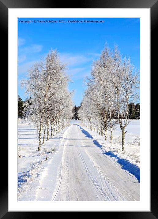 Frosted Birch Tree Lined Road in February Framed Mounted Print by Taina Sohlman