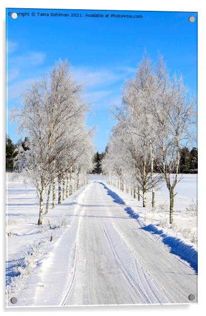 Frosted Birch Tree Lined Road in February Acrylic by Taina Sohlman