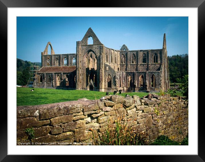Wye Valley, Tintern Abbey Framed Mounted Print by Chris Rose