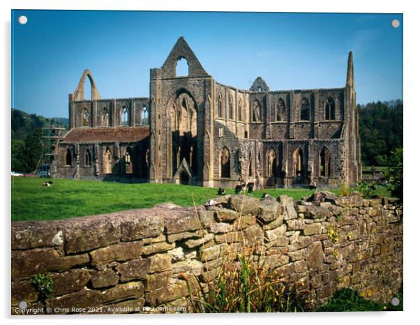 Wye Valley, Tintern Abbey Acrylic by Chris Rose