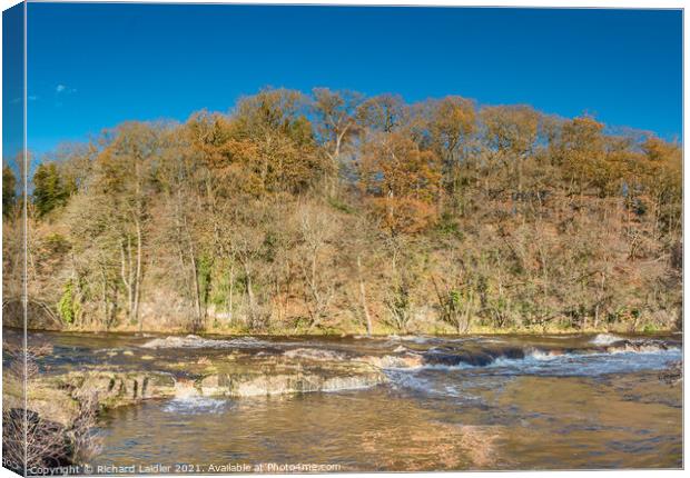 Tees Cascade at Whorlton in late Autumn Canvas Print by Richard Laidler