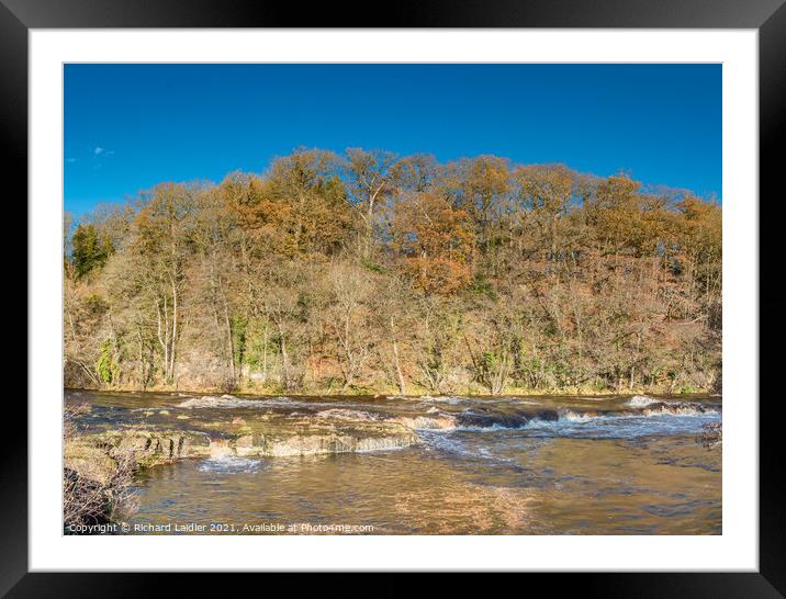 Tees Cascade at Whorlton in late Autumn Framed Mounted Print by Richard Laidler