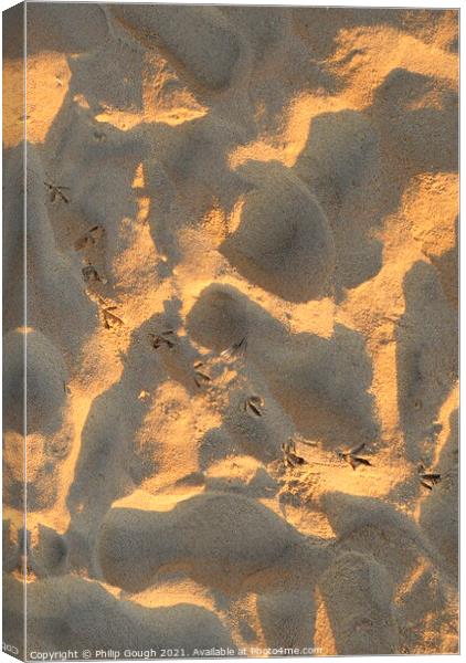 BIRD PRINTS IN SAND Canvas Print by Philip Gough