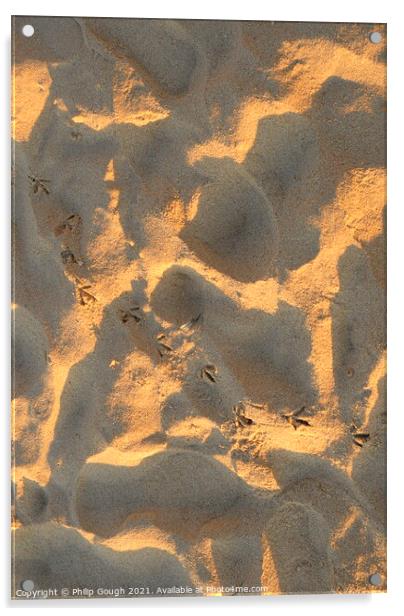 BIRD PRINTS IN SAND Acrylic by Philip Gough