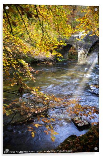 River Dart in Autumn Acrylic by Stephen Hamer