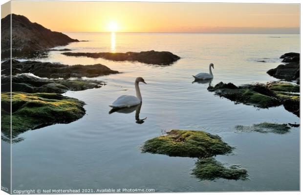 Sunrise At Polridmouth Cove. Canvas Print by Neil Mottershead