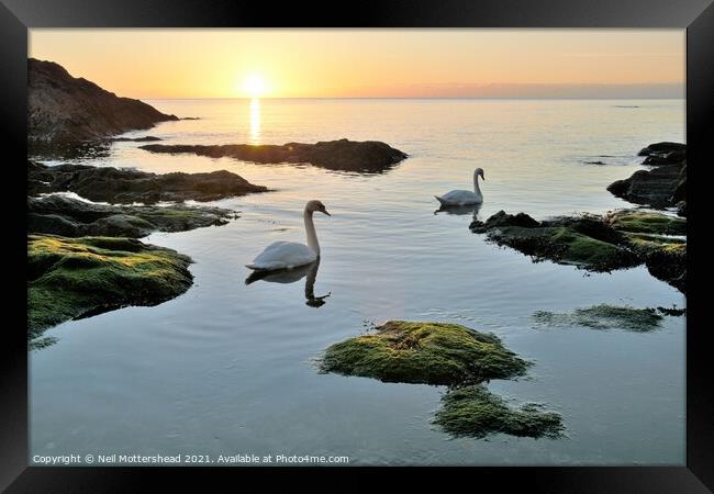 Sunrise At Polridmouth Cove. Framed Print by Neil Mottershead