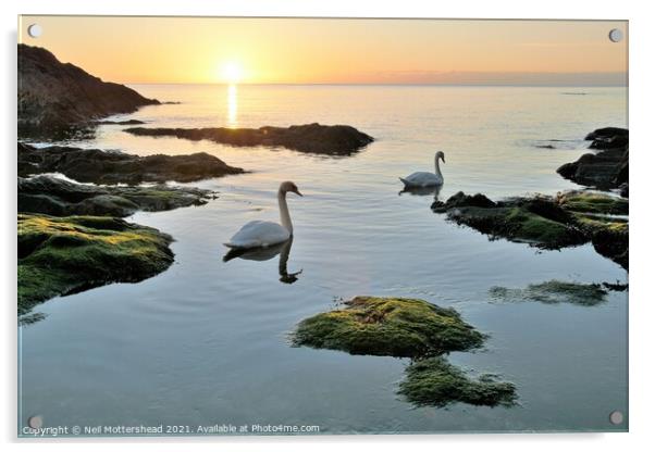 Sunrise At Polridmouth Cove. Acrylic by Neil Mottershead