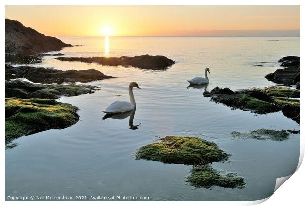 Sunrise At Polridmouth Cove. Print by Neil Mottershead