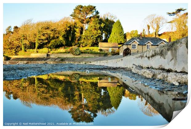 Polridmouth Reflections. Print by Neil Mottershead