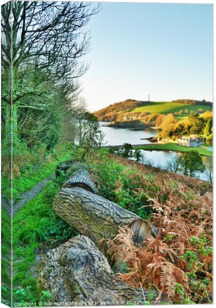 Path To Polridmouth. Canvas Print by Neil Mottershead