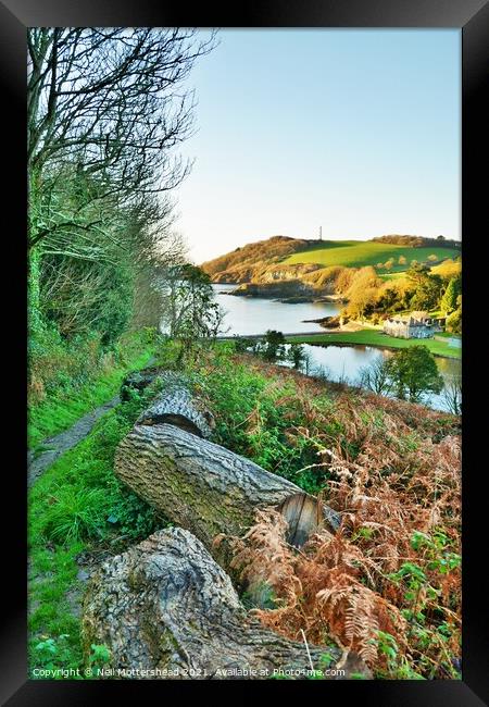 Path To Polridmouth. Framed Print by Neil Mottershead