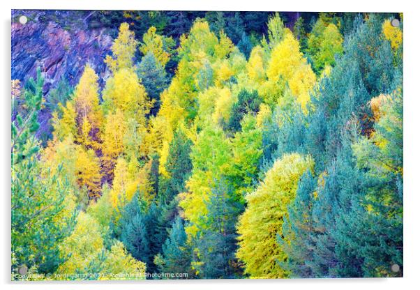 Autumn colors in the woods - Orton glow Edition  Acrylic by Jordi Carrio