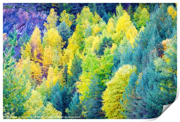 Autumn colors in the woods - Orton glow Edition  Print by Jordi Carrio