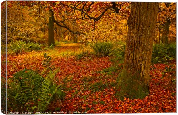 Southwick Wood Northamptonshire in Autumn Canvas Print by Martyn Arnold