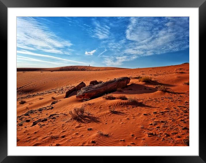 Desert life  Framed Mounted Print by Rudi Darlington