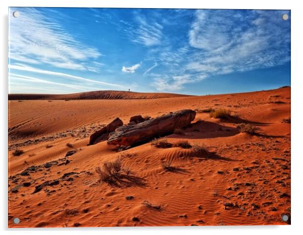 Desert life  Acrylic by Rudi Darlington