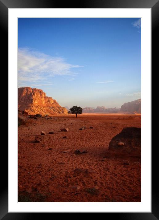 Lone tree of the desert  Framed Mounted Print by Rudi Darlington