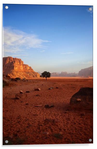 Lone tree of the desert  Acrylic by Rudi Darlington