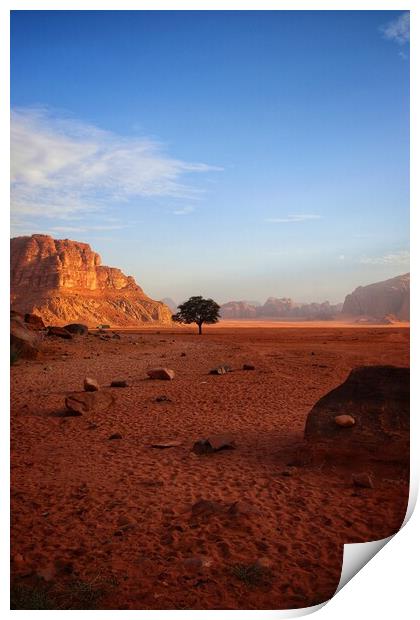 Lone tree of the desert  Print by Rudi Darlington