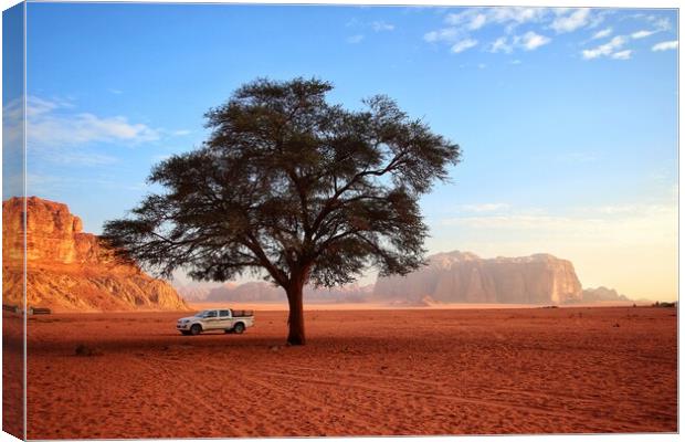 The desert tree  Canvas Print by Rudi Darlington