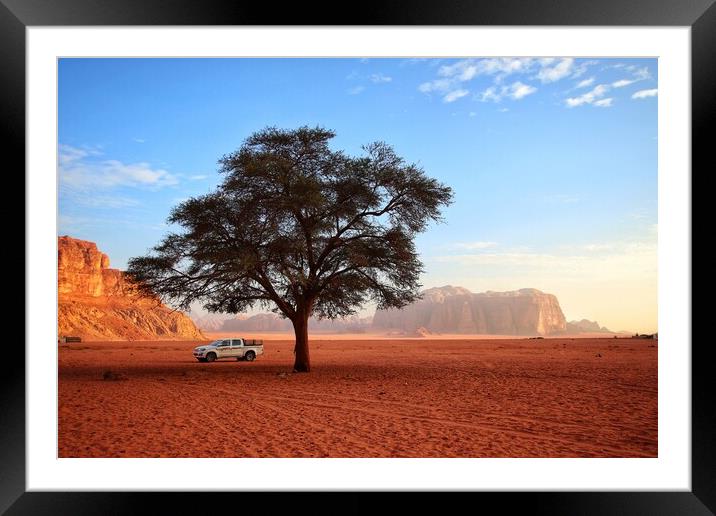 The desert tree  Framed Mounted Print by Rudi Darlington