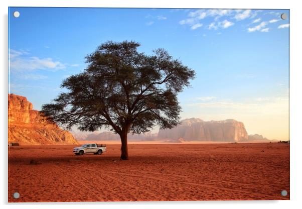 The desert tree  Acrylic by Rudi Darlington