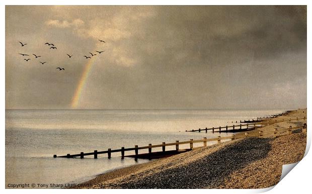 UNDER STORMY SKIES Print by Tony Sharp LRPS CPAGB