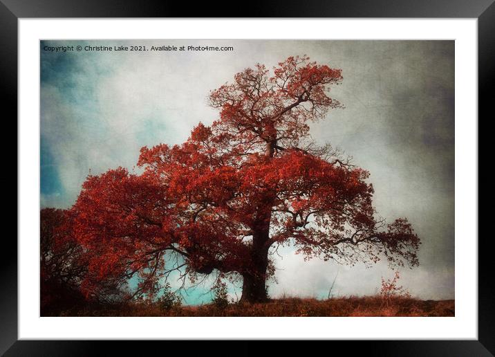 Colour Me Red Framed Mounted Print by Christine Lake