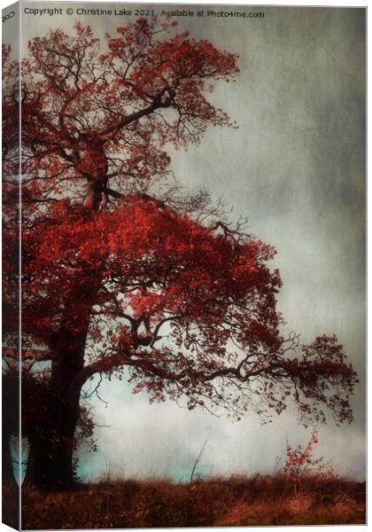 Colour Me Red 2 Canvas Print by Christine Lake