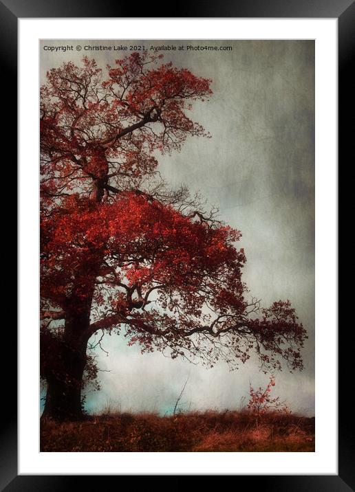 Colour Me Red 2 Framed Mounted Print by Christine Lake