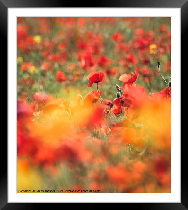poppies  Framed Mounted Print by Simon Johnson