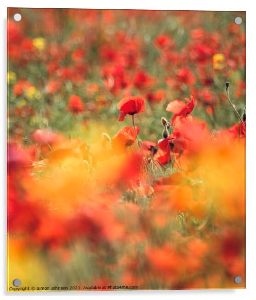 poppies  Acrylic by Simon Johnson