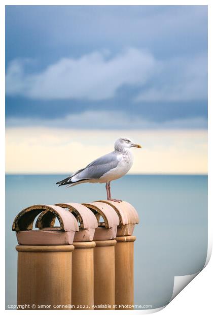 Seagulls, Ramsgate Print by Simon Connellan