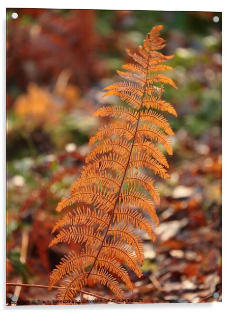 Autumn fern Acrylic by Simon Johnson