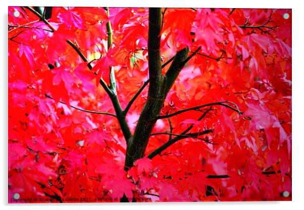 Vibrant Autumns Acrylic by Sharon Lisa Clarke