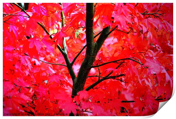 Vibrant Autumns Print by Sharon Lisa Clarke