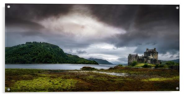 Eilean Donan Castle  Acrylic by Jadwiga Piasecka