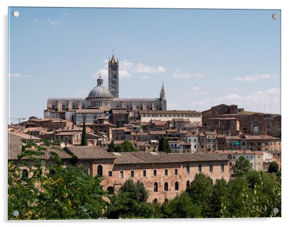 Siena Cityscape with Duomo di Siena Cathedral Acrylic by Dietmar Rauscher