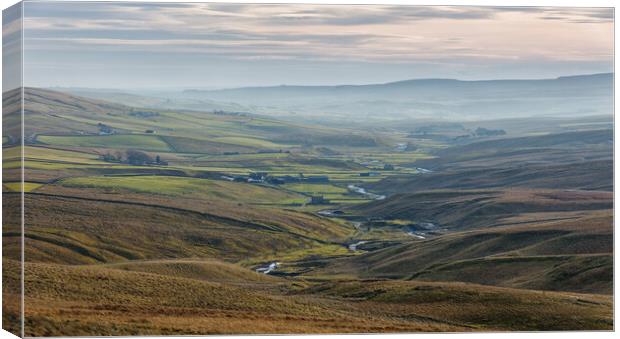 Upper Teesdale Canvas Print by Mark Godden