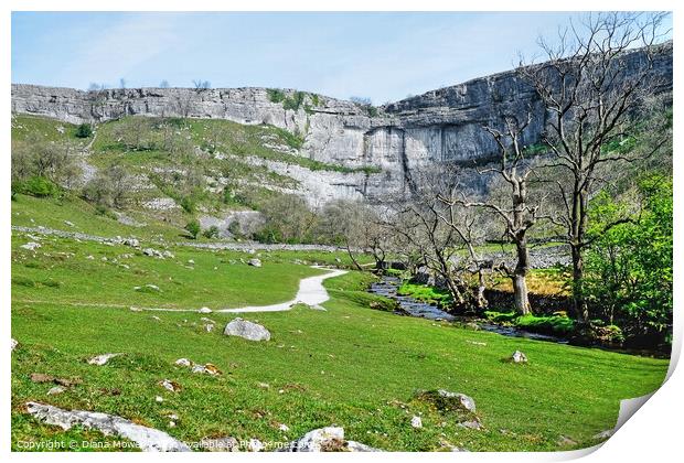  Malham Cove A landscape view Print by Diana Mower