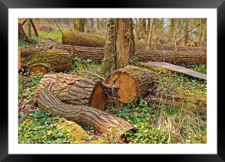 WOODLAND LOGS Framed Mounted Print by Philip Gough