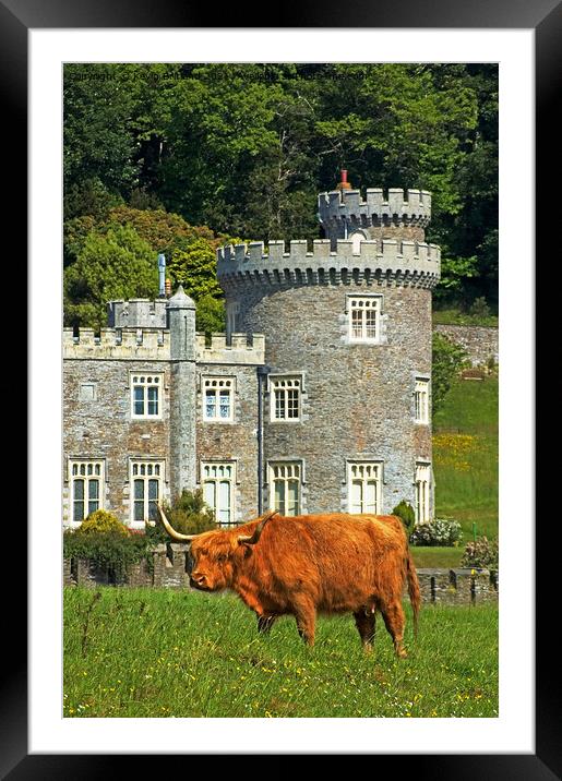 Caerhays castle Framed Mounted Print by Kevin Britland