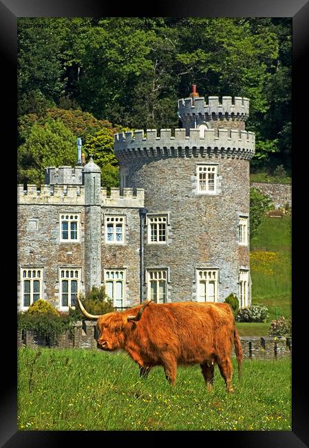 Caerhays castle Framed Print by Kevin Britland