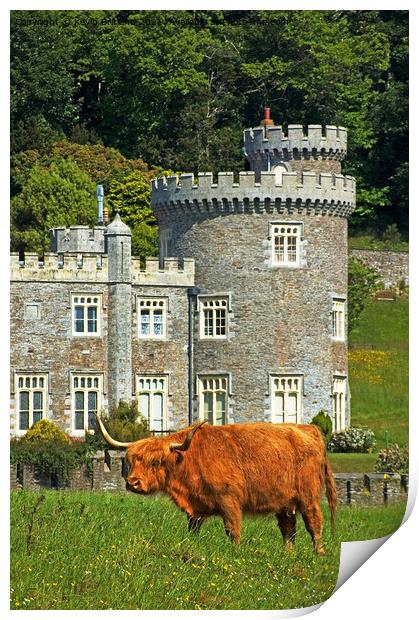 Caerhays castle Print by Kevin Britland